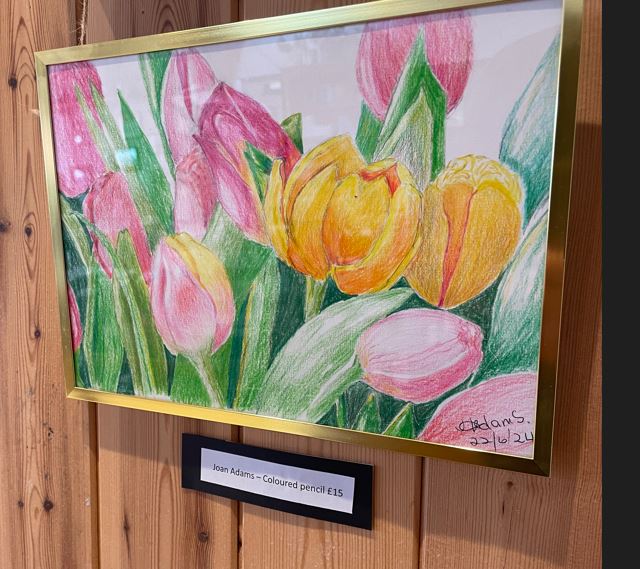 Chelmsford Gallery july 2024