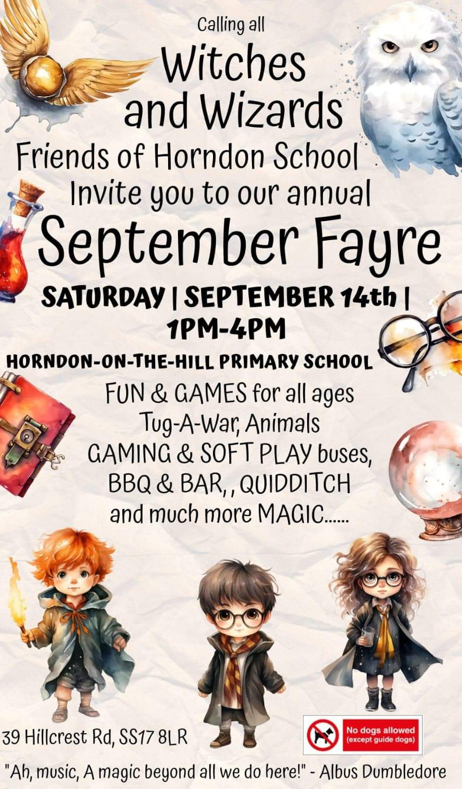 Harry Potter Themed Poster