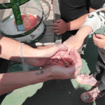 Adultholdingchildshands Adult holding childs hands